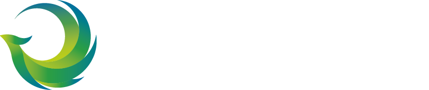 电竞游戏