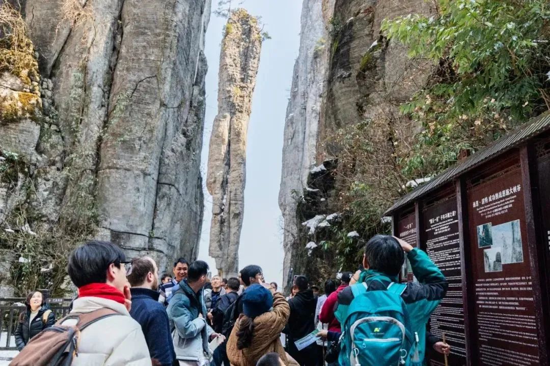 微信图片_20250218084823.jpg 电竞游戏