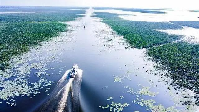 图片6.png 电竞游戏