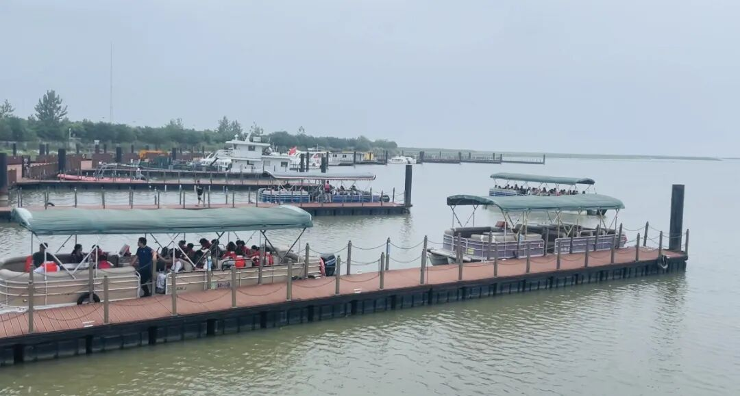 图片1.png 电竞游戏