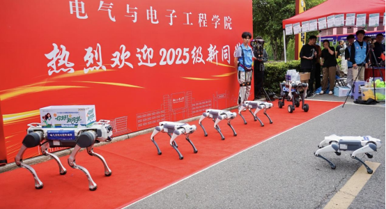 image.png 电竞游戏