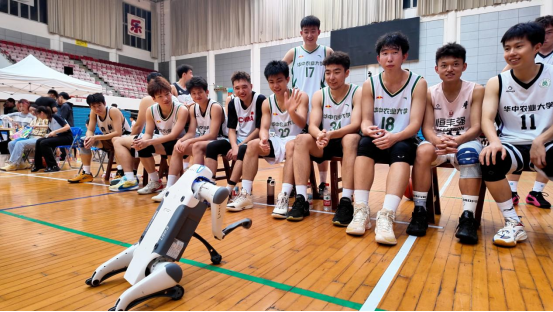 image.png 电竞游戏