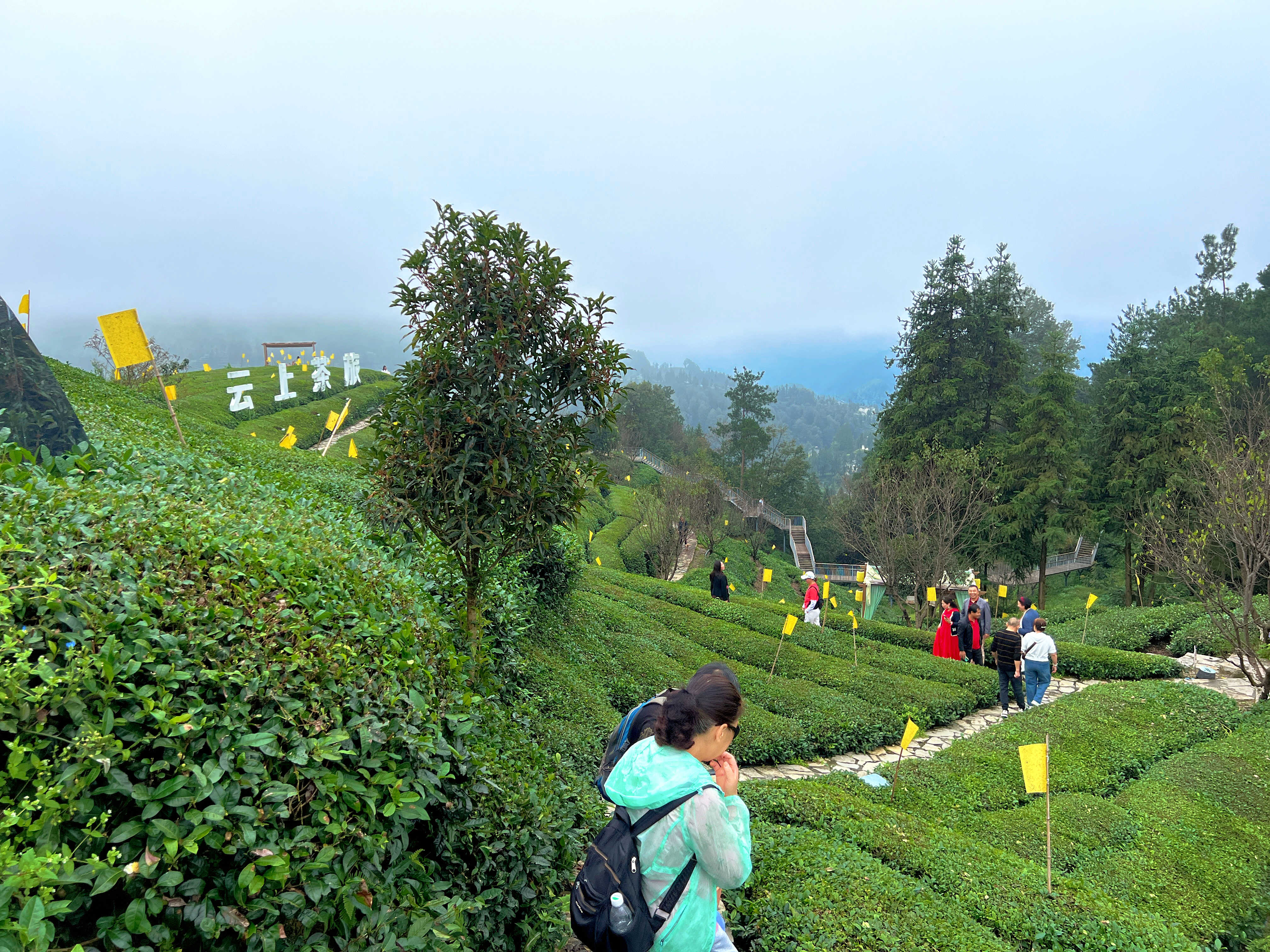 2025-10-05 120128.jpg 电竞游戏