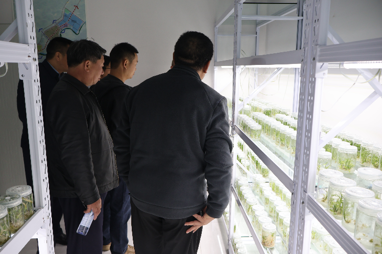 图片3.png 电竞游戏